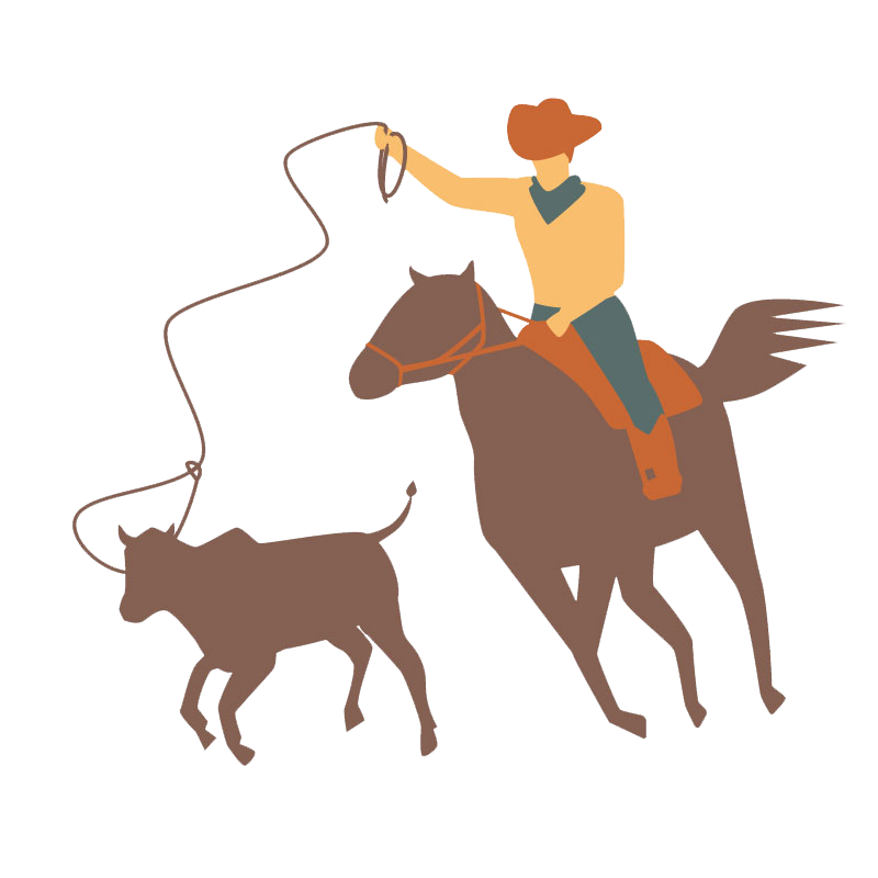 veaux-lasso-logo copy